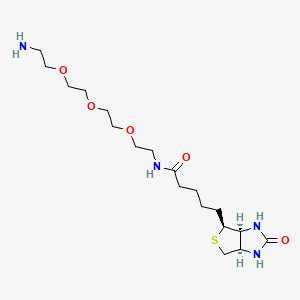 (+)-Biotin-(PEO)4-amine