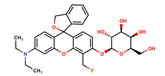 β-Galactosidase stain