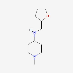 (1-Methyl-piperidin-4-yl)-(tetrahydro-furan-2-yl-methyl)-amine