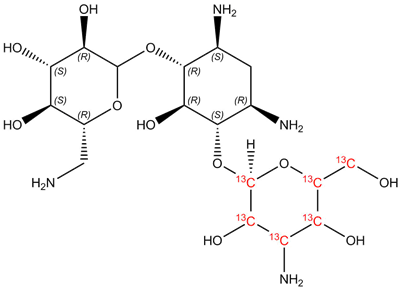 [13C6]-Kanamycin A