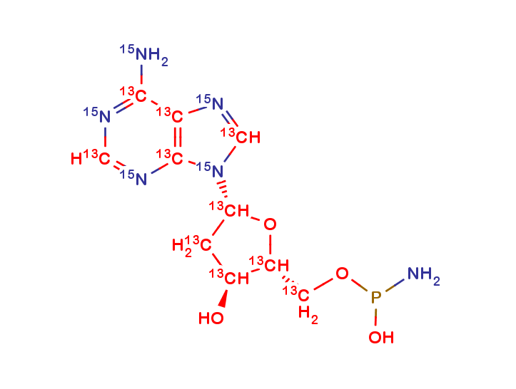 2-DEOXYADENOSINE PHOSPHORAMIDITE 13C10, 15N5