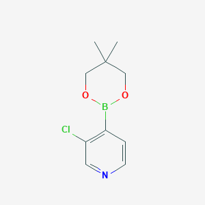 3-Chloropyridine-4-boronic acid, neopentyl glycol ester