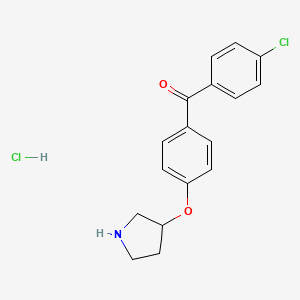 (4-Chlorophenyl)[4-(3-pyrrolidinyloxy)phenyl]-methanone hydrochloride