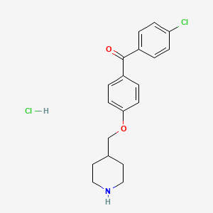 (4-Chlorophenyl)[4-(4-piperidinylmethoxy)phenyl]-methanone hydrochloride