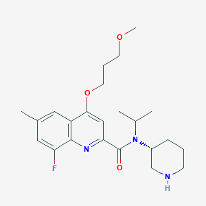 (R)-8-Fluoro-N-isopropyl-4-(3-methoxypropoxy)-6-methyl-N-(piperidin-3-yl)quinoline-2-carboxamide