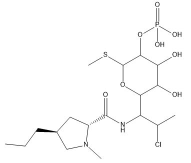 (R)-Apomorphine-d5 Hydrochloride (Major)