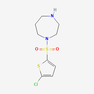1-[(5-Chlorothiophen-2-yl)sulfonyl]-1,4-diazepane