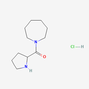 1-Azepanyl(2-pyrrolidinyl)methanone hydrochloride