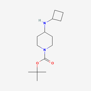1-N-Boc 4-(cyclobutylamino) piperidine