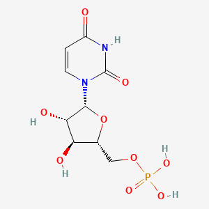 1-ß-D-Arabinofuranosyluracil 5-Monophosphate
