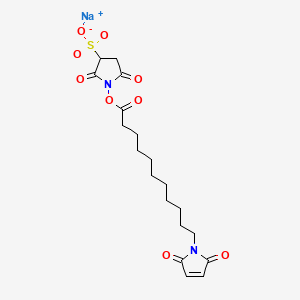 11-Maleimidoundecanoic Acid Sulfo-N-Succinimidyl Ester