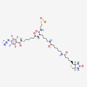 2-{N2-[N6-(4-Azido-2,3,5,6-tetrafluorobenzoyl)-6-aminocaproyl]-N6-(6-biotinamidocaproyl)-L-lysinylamido}ethyl Methanethiosulfonate