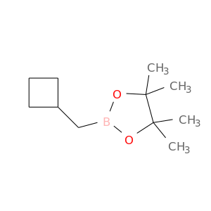 2-(cyclobutylmethyl)-4,4,5,5-tetramethyl-1,3,2-dioxaborolane