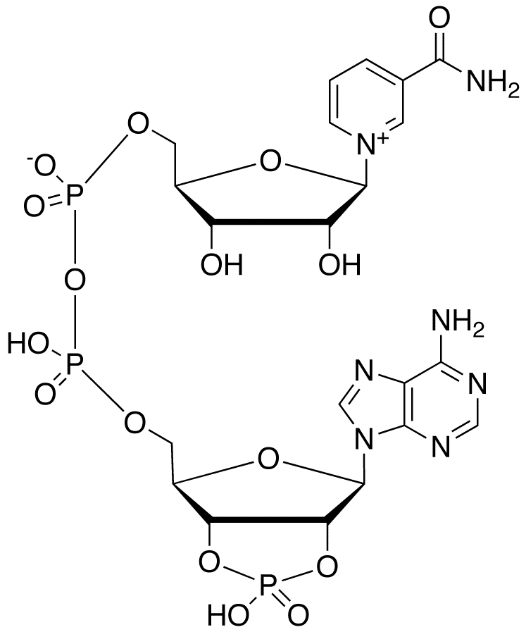 2'3'-Cyclic-NADP