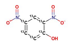 2,4-Dinitrophenol-13C6