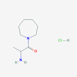 2-Amino-1-(1-azepanyl)-1-propanone hydrochloride