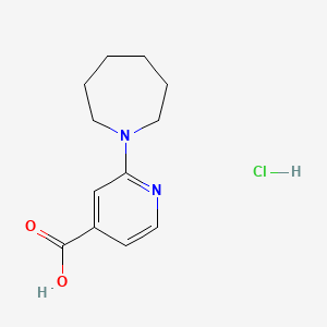 2-Azepan-1-YL-isonicotinic acid hydrochloride