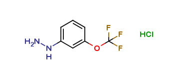 2-Trifluoromethoxy phenylhydrazine HCl