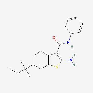 2-amino-6-(1,1-dimethylpropyl)-N-phenyl-4,5,6,7-tetrahydro-1-benzothiophene-3-carboxamide