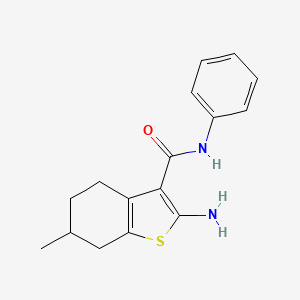 2-amino-6-methyl-N-phenyl-4,5,6,7-tetrahydro-1-benzothiophene-3-carboxamide