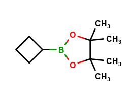 2-cyclobutyl-4,4,5,5-tetramethyl-1,3,2-dioxaborolane