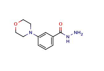 3-(4-Morpholinyl)benzoic Acid Hydrazide