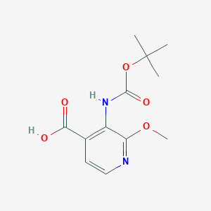 3-(tert-Butoxycarbonylamino)-2-methoxyisonicotinic acid
