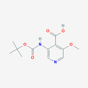 3-(tert-Butoxycarbonylamino)-5-methoxyisonicotinic acid