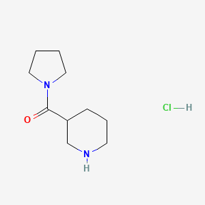 3-Piperidinyl(1-pyrrolidinyl)methanone hydrochloride