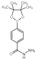 4-(Hydrazinecarbonyl)phenylboronic acid, pinacol ester