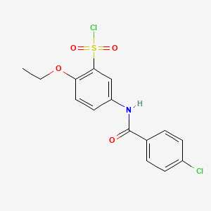 5-(4-Chlorobenzamido)-2-ethoxybenzene-1-sulfonyl chloride