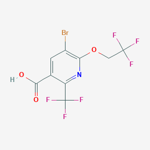5-bromo-6-(2,2,2-trifluoroethoxy)-2-(trifluoromethyl)nicotinic acid