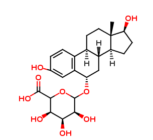 6α-Hydroxy-17βEstradiol 6-Glucuronide