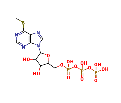 6-Methylthioinosine-5'-triphosphate