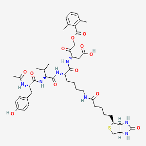 AC-Tyr-val-lys(biotinyl)-asp-2,6-dimethylbenzoyloxymethylketone
