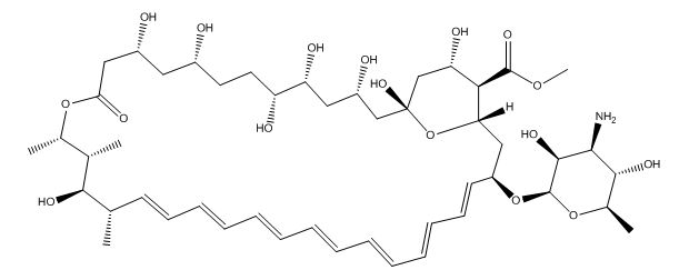 Amphotericin B Methyl Ester 90%