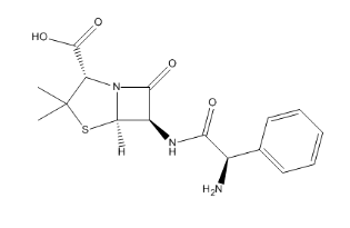 Ampicillin Trihydrate (A1100000)