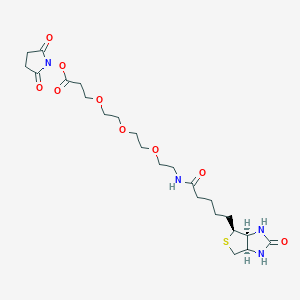 Biotin-PEG3-NHS ester