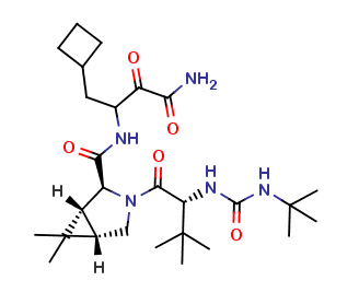 Boceprevir SCH 534128 (active metabolite)