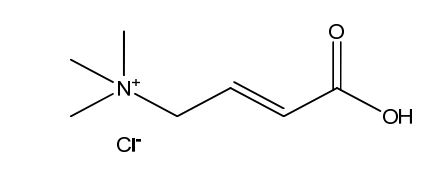Crotonobetaine Hydrochloride
