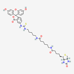 Fluorescein Biotin