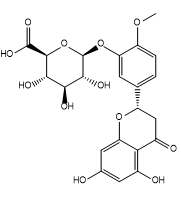 Hesperetin 3-O-β-D-glucuronide
