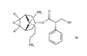 Hyoscine butylbromide (198)