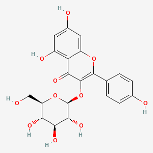 Kaempferol-3-O-glucoside