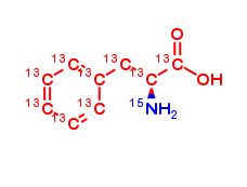 L-Phenylalanine-13C9,15N