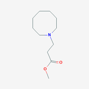 Methyl 3-azocan-1-ylpropanoate