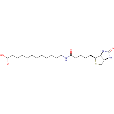 N-Biotinyl-12-aminododecanoic Acid