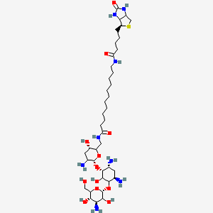 N-Biotinyl-12-aminododecanoyltobramycin Amide