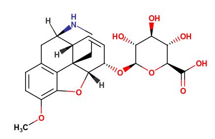 Norcodeine O-beta-d-Glucuronide