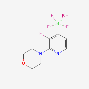 Potassium trifluoro[3-fluoro-2-(morpholin-4-yl)pyridin-4-yl]borate